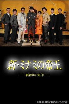 新・ミナミの帝王~裏切りの実印~ dizi afişi