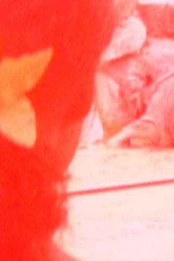 München, Raphaela film afişi