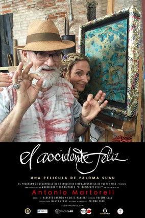 The Happy Accident film afişi