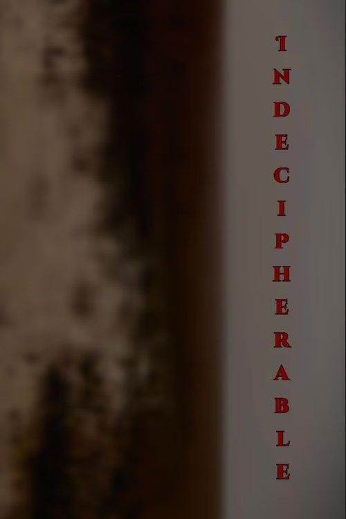 Indecipherable film afişi