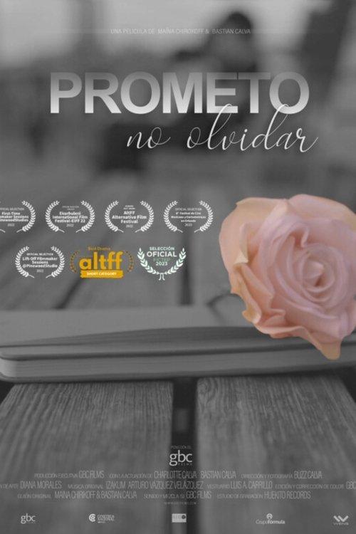 I Promise to Never Forget film afişi