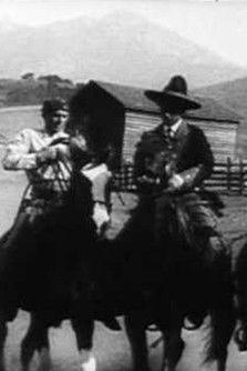 The Trail of Cards film afişi