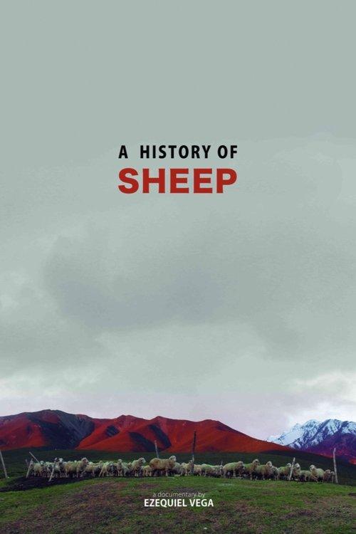 A History Of Sheep film afişi
