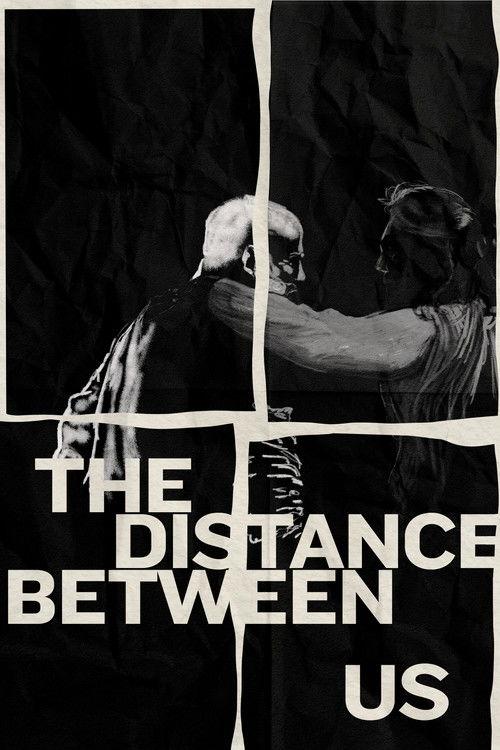 The Distance Between Us film afişi