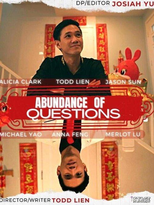 Abundance of Questions film afişi