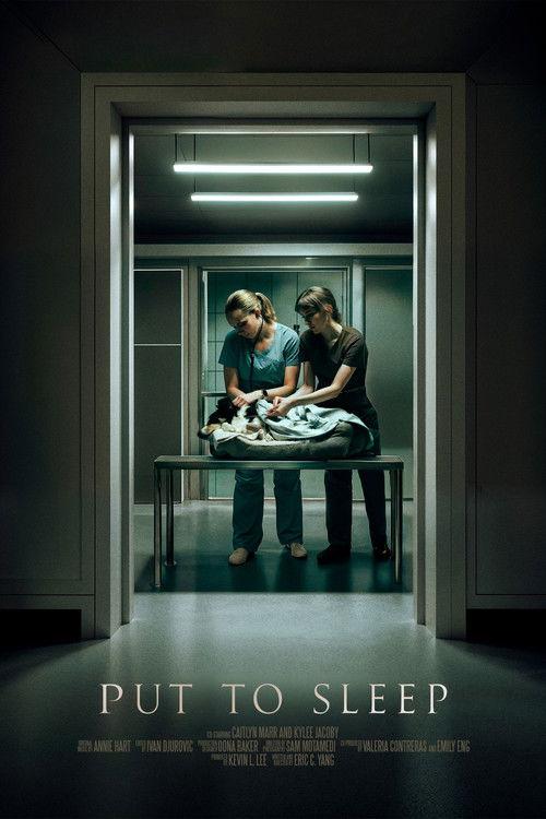Put To Sleep film afişi