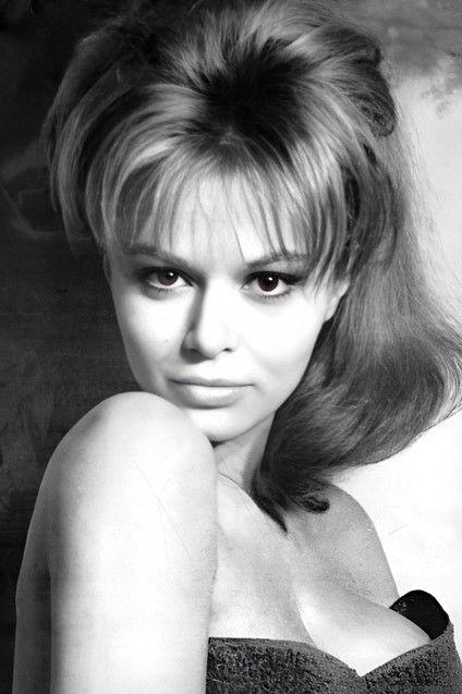 Evi Marandi fotoğrafı