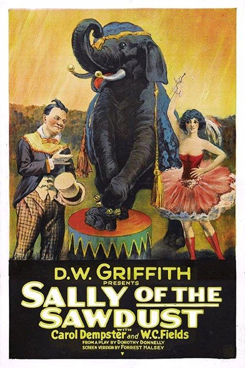 Sally of the Sawdust film afişi