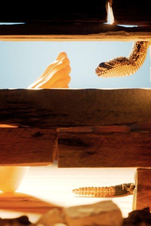 Whisperer film afişi