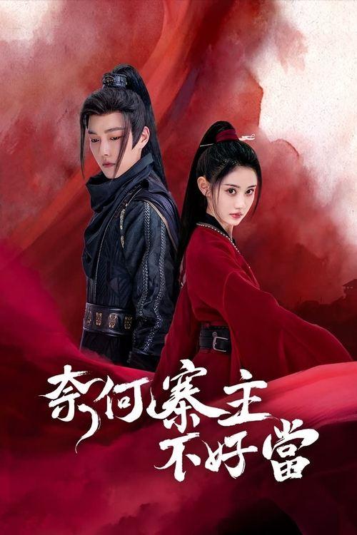 Yes, I Am a Spy dizi afişi