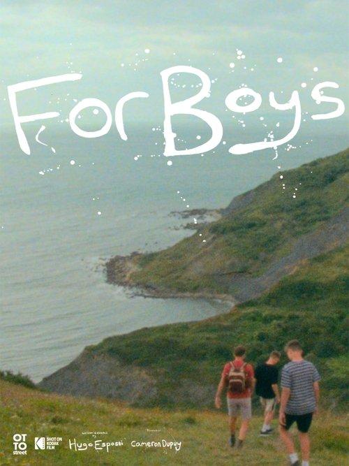 For Boys film afişi