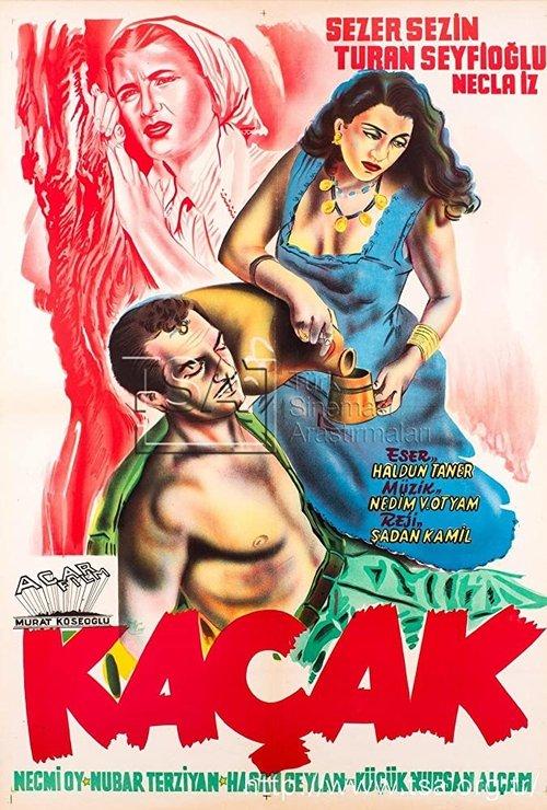 The Fugitive film afişi