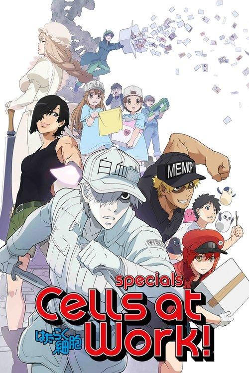Cells at Work! Sezon 0
