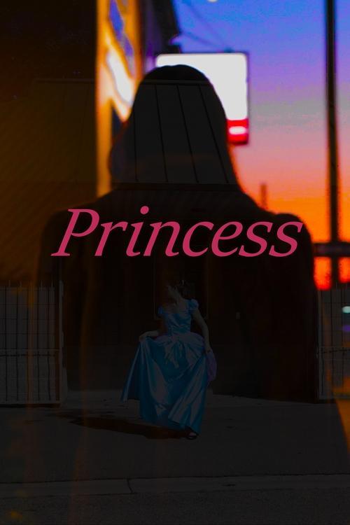 Princess film afişi
