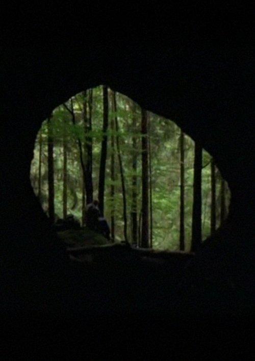 La Guitare de diamants film afişi