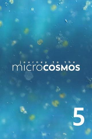 Journey to the Microcosmos Sezon 5