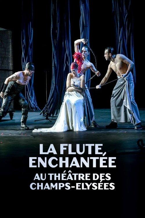 La flûte enchantée au Théâtre des Champs Elysées film afişi