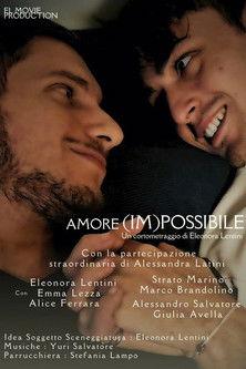 (Im)Possible Love film afişi