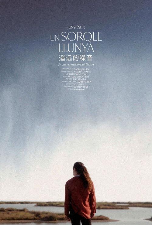 A Distant Noise film afişi