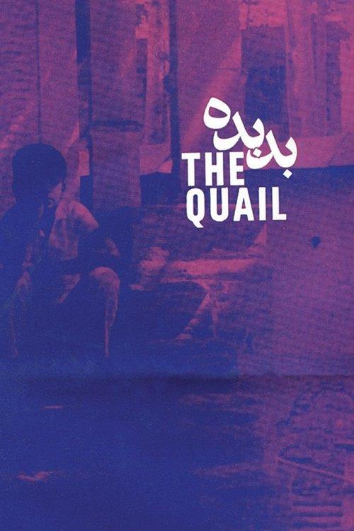 The Quail: The Tale of a Boy Who Asks film afişi