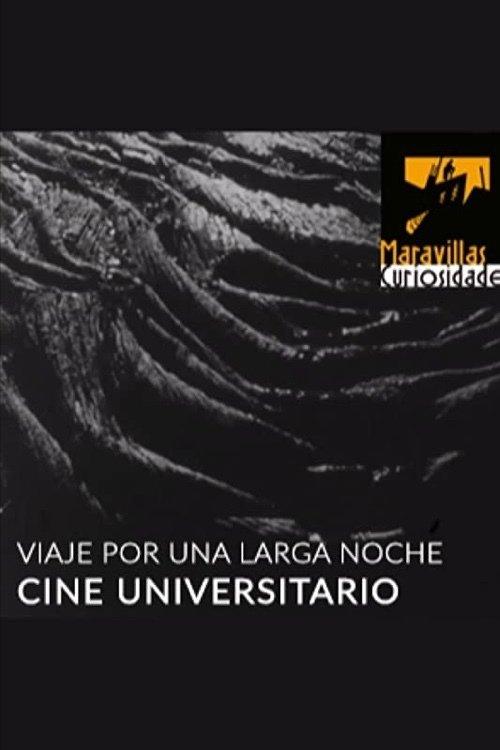 Viaje por una larga noche film afişi