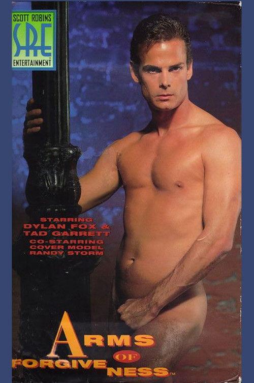 Arms of Forgiveness film afişi