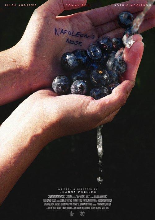 Napoleon's Nose film afişi