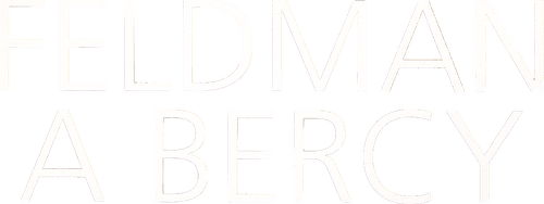 Feldman à Bercy logo