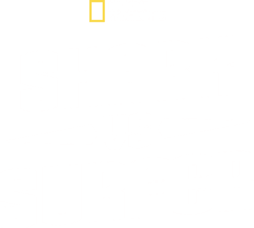 Shark vs. Surfer logo