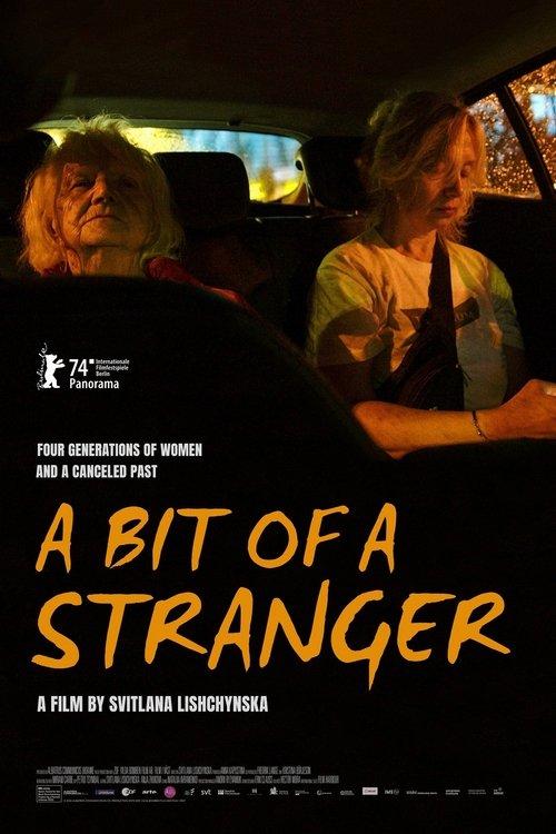 A Bit of a Stranger film afişi