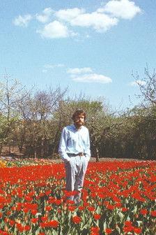 Tulip Field film afişi