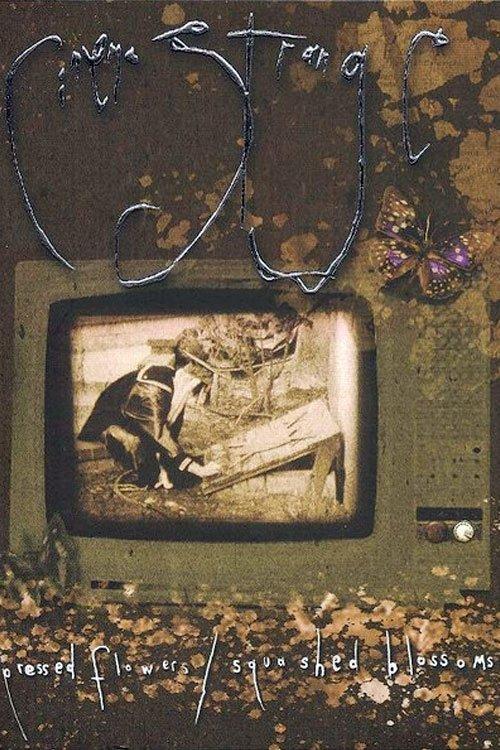 Cinema Strange: Pressed Flowers / Squashed Blossoms film afişi