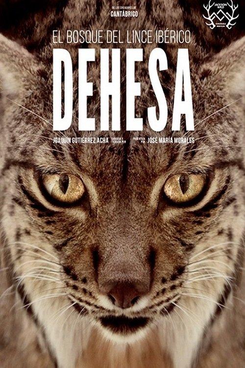 Dehesa: The Forest of the Iberian Lynx film afişi