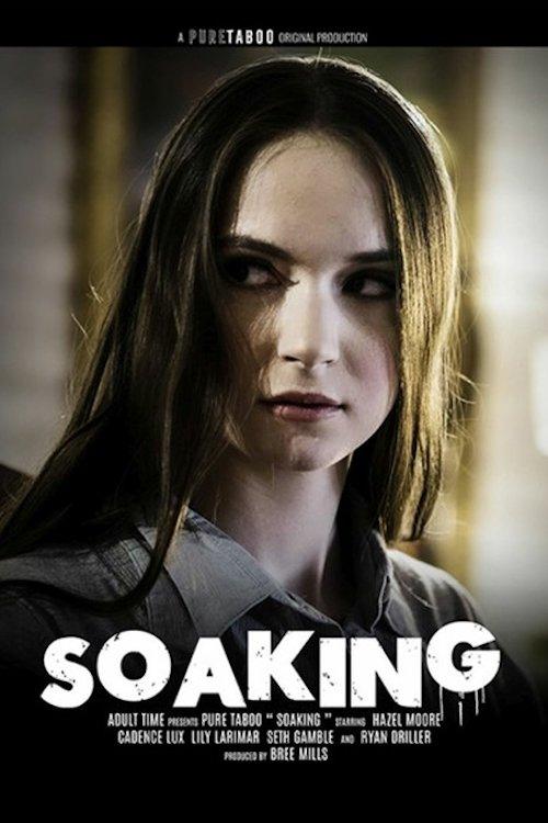Soaking film afişi