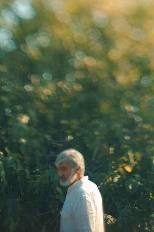 Baku Diaries 3: Memory film afişi