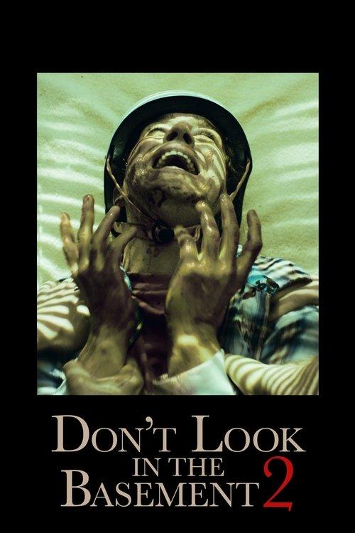 Don't Look in the Basement 2 film afişi