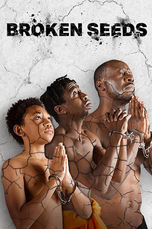 Broken Seeds dizi afişi
