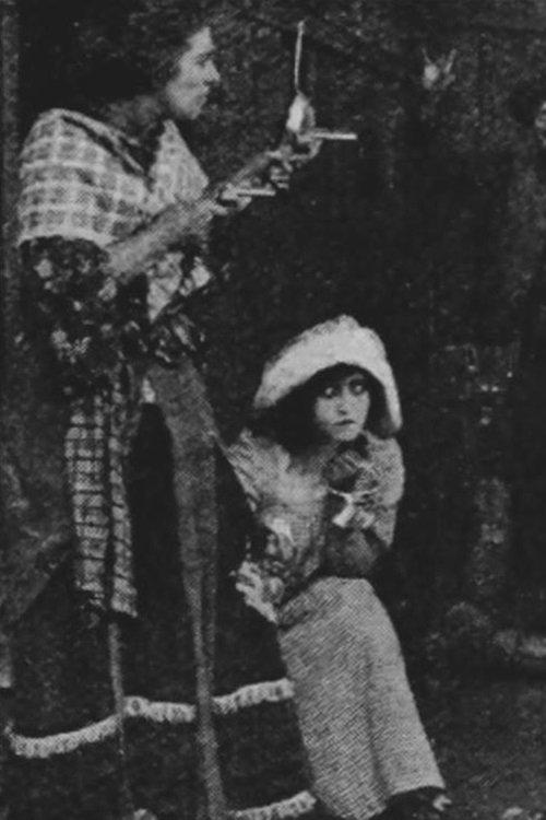 The Female Detective film afişi