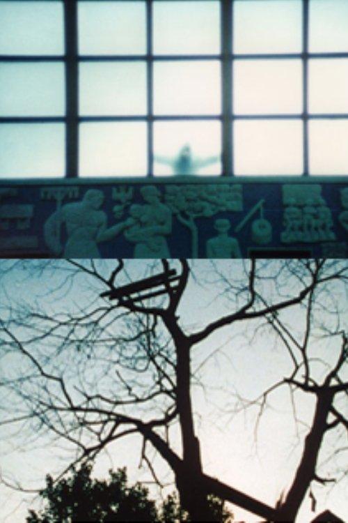 Le temps qu'il fait film afişi