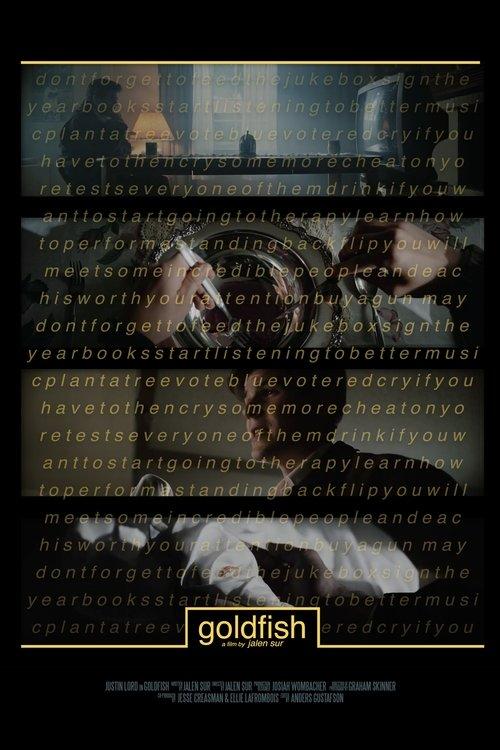 Goldfish film afişi