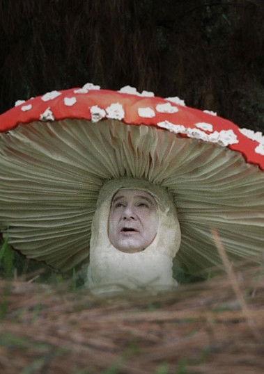 Fly Amanita film afişi