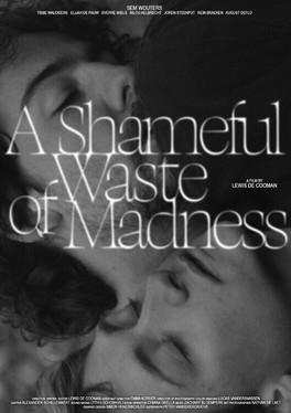 A Shameful Waste of Madness film afişi