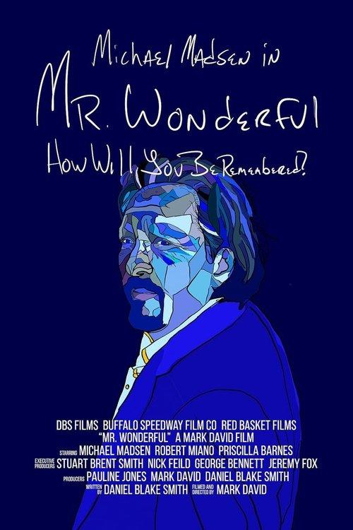 Mr. Wonderful film afişi