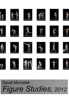 Figure Studies film afişi