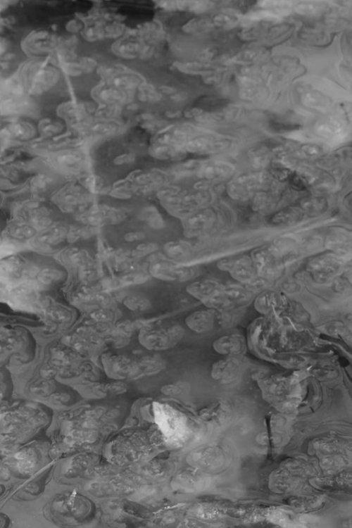 In The Bleak Midwinter film afişi