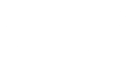 宋祖英 - 2009魅力·中国鸟巢夏季音乐会 logo