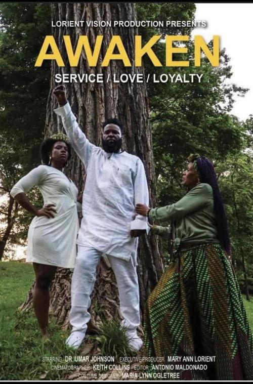 Awaken film afişi