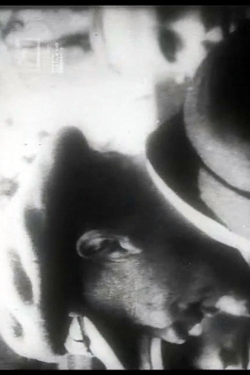 Uns mahnt ein November film afişi