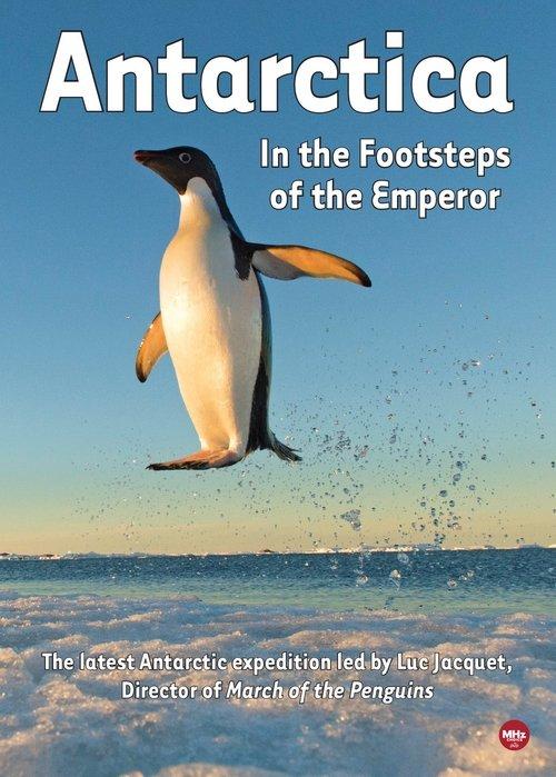 Antarctica, in the footsteps of the Emperor film afişi