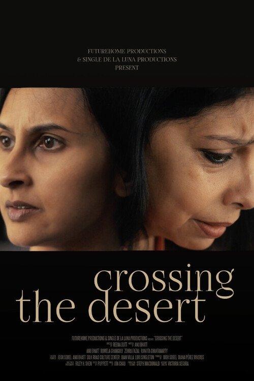 Crossing the Desert film afişi